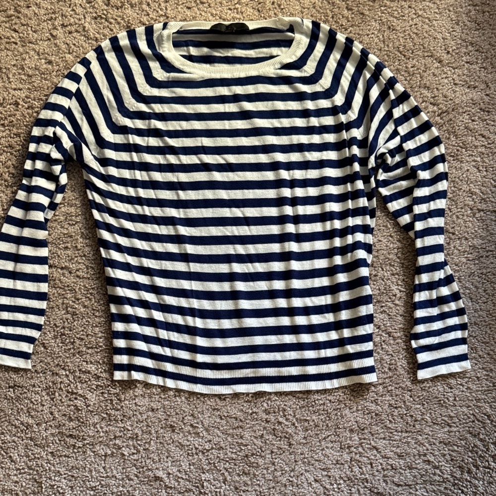 Zara Navy and White Striped Top